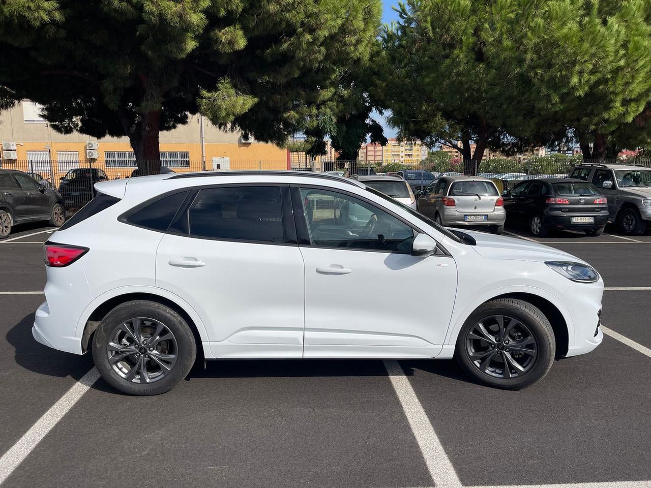 Ford Kuga 2.5 Duratec FHEV HEV ST Line X #50309