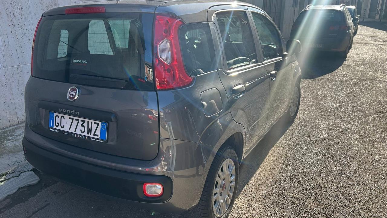 Fiat Panda 1.2 Easy