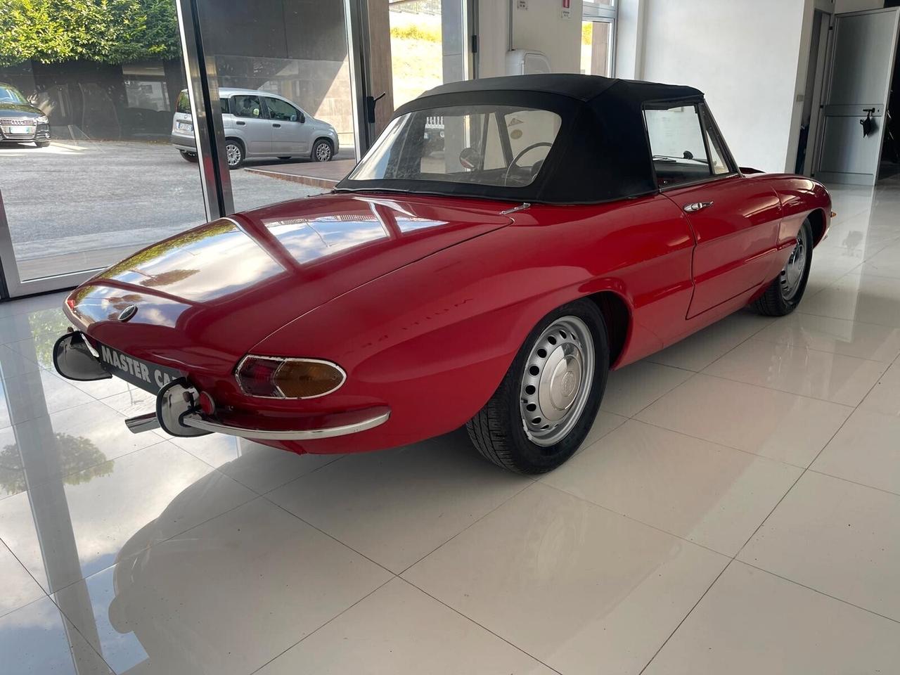 Alfa Romeo Spider duetto osso di seppia