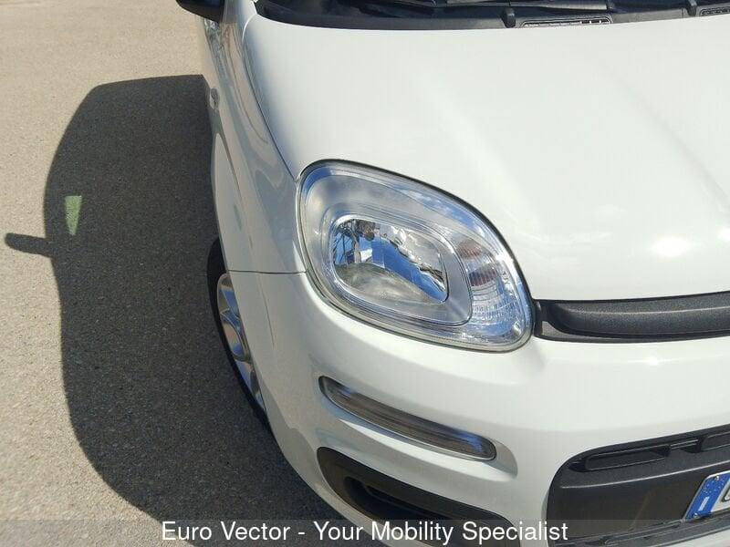 FIAT Panda Panda 1.0 FireFly S&S Hybrid Launch Edition