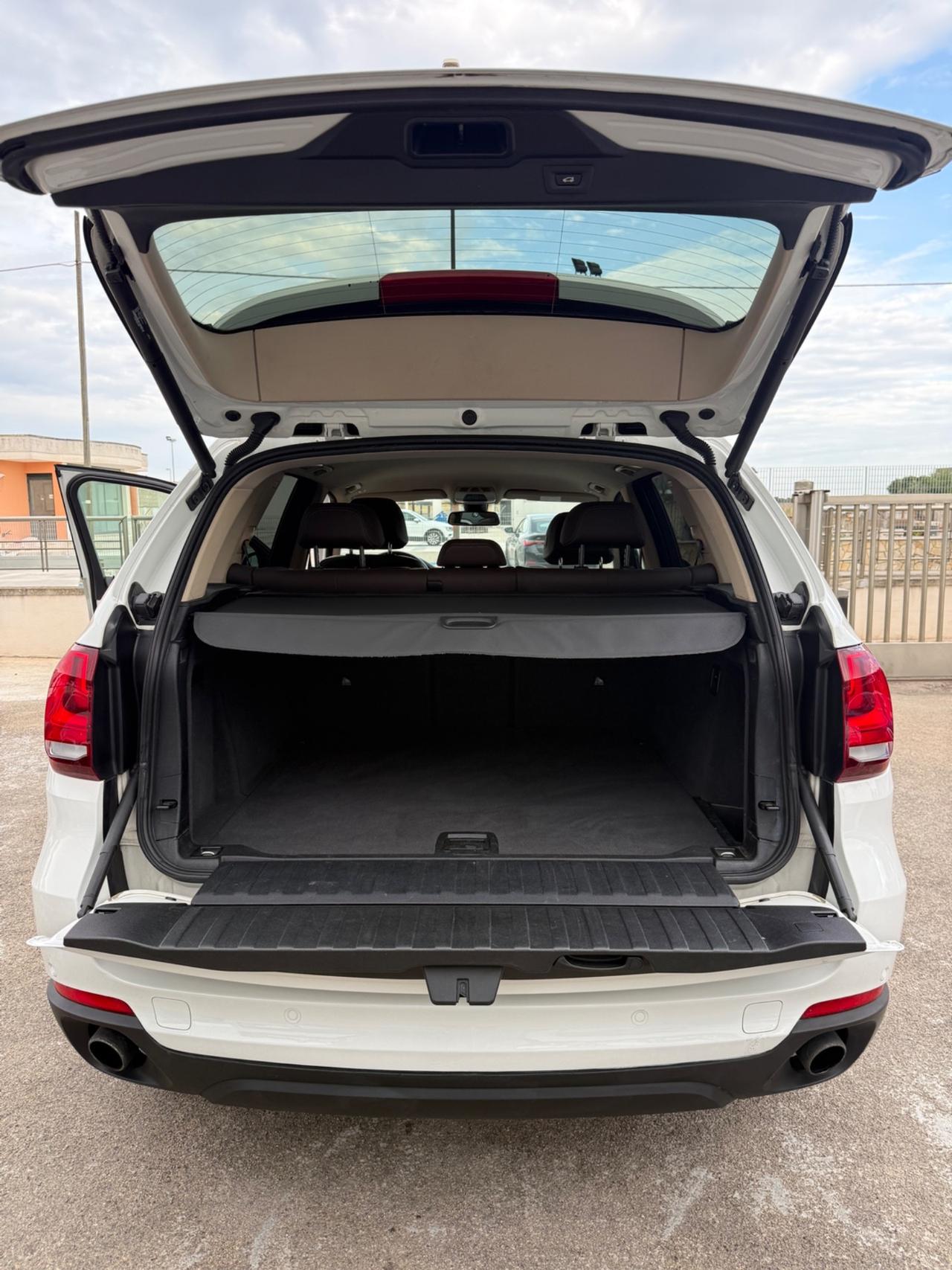 Bmw X5 sDrive25d Luxury