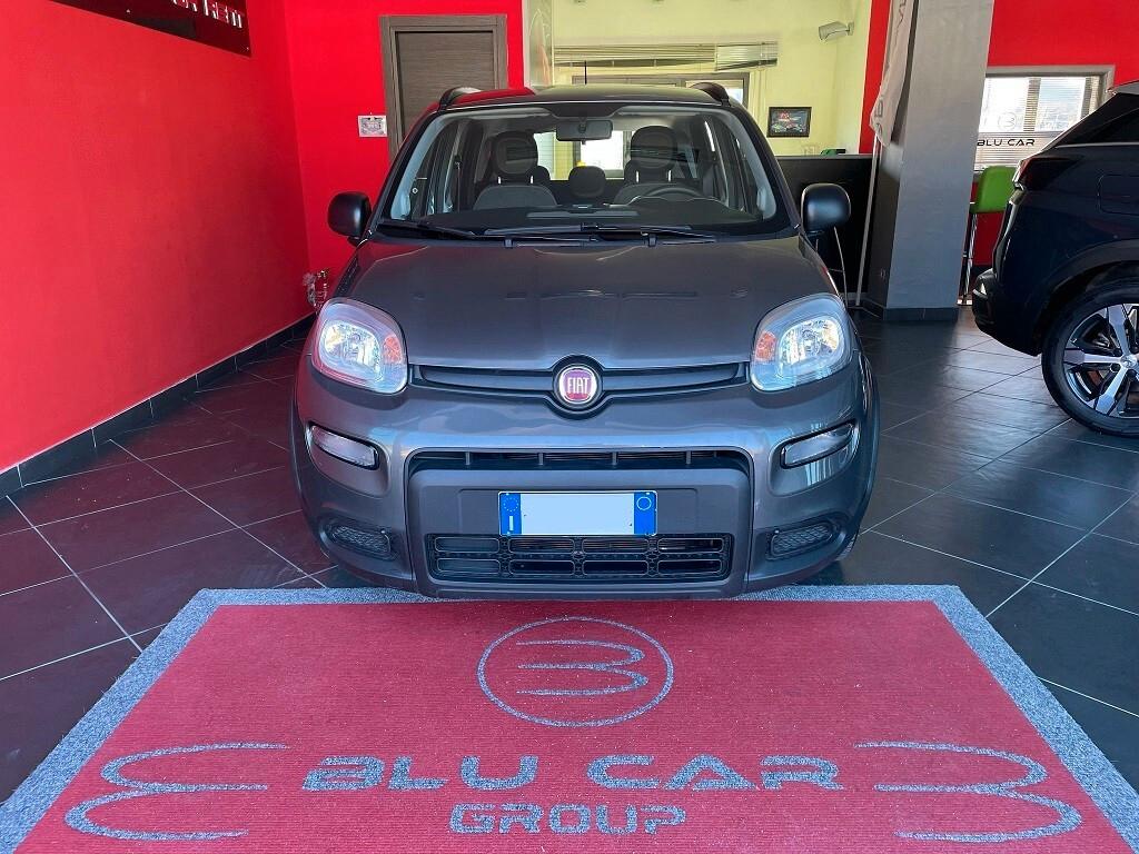 FIAT PANDA 1.0 FIREFLY HYBRID 70Cv CITYLIFE