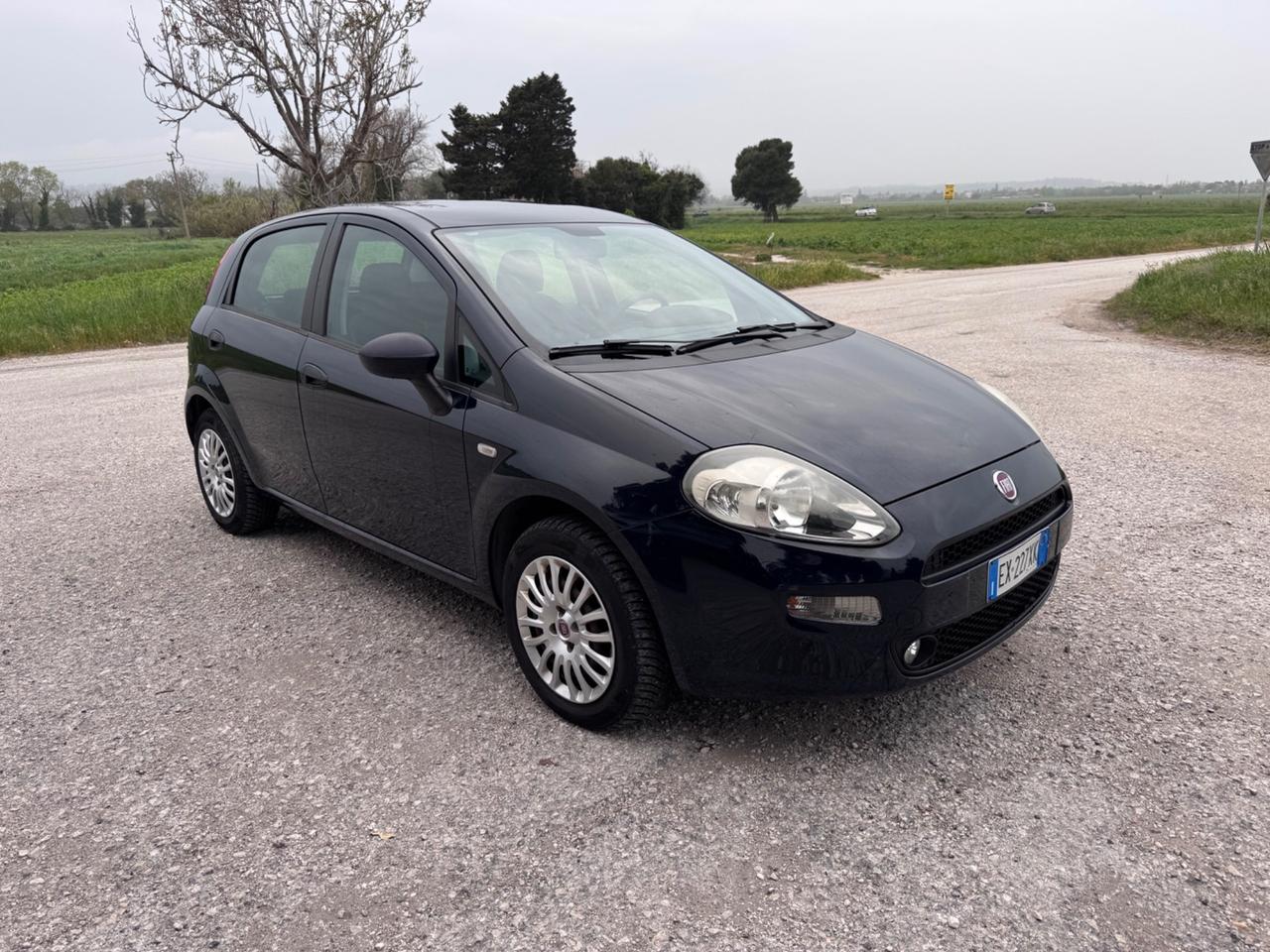 Fiat Punto 1.2 8V 5 porte Street