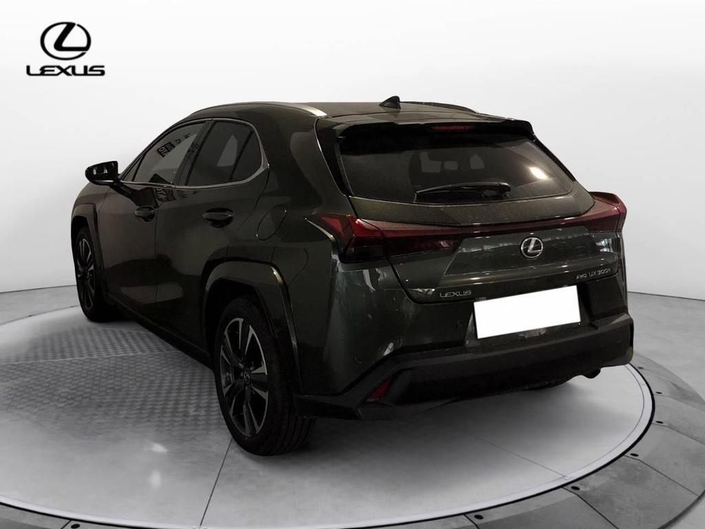 Lexus UX 300 2.0 Premium Hybrid Luxury 4WD Power Split Device