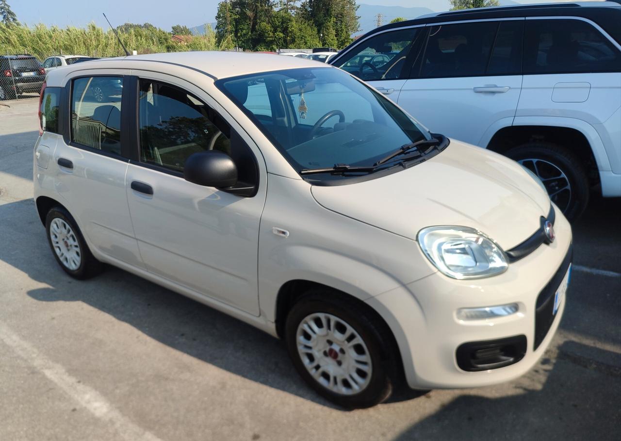 Fiat Panda 1.2 BENZINA GARANZIA 12 MESI