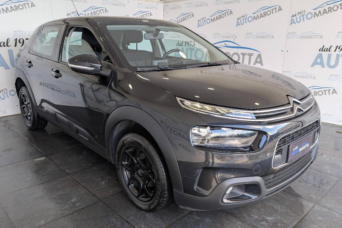 Citroen C4 Cactus 1.5 bluehdi Shine s&s 100cv