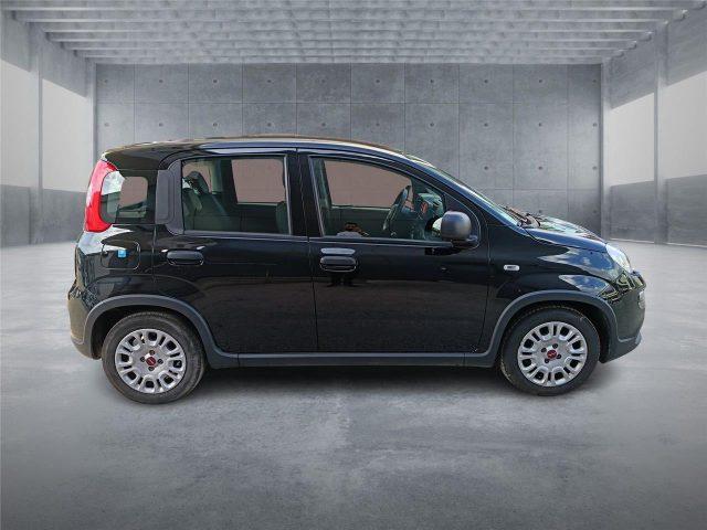 FIAT Panda 3ª serie 1.0 FireFly S&S Hybrid