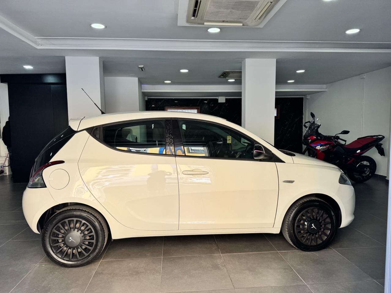 Lancia Ypsilon 1.3 MJT 16V 95 CV 5 porte S&S Platinum