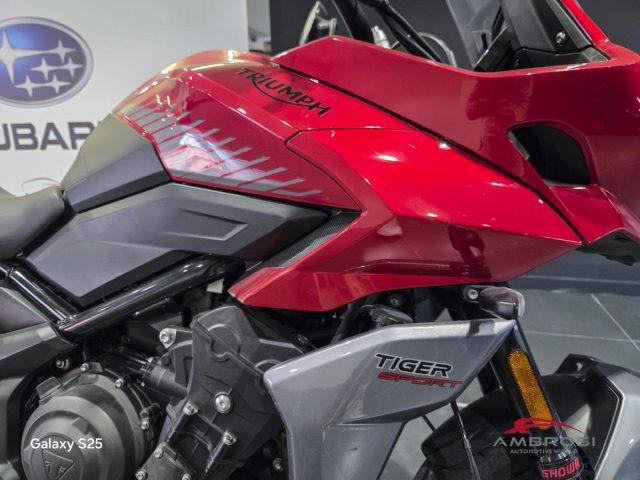 TRIUMPH Tiger Sport 660 abs