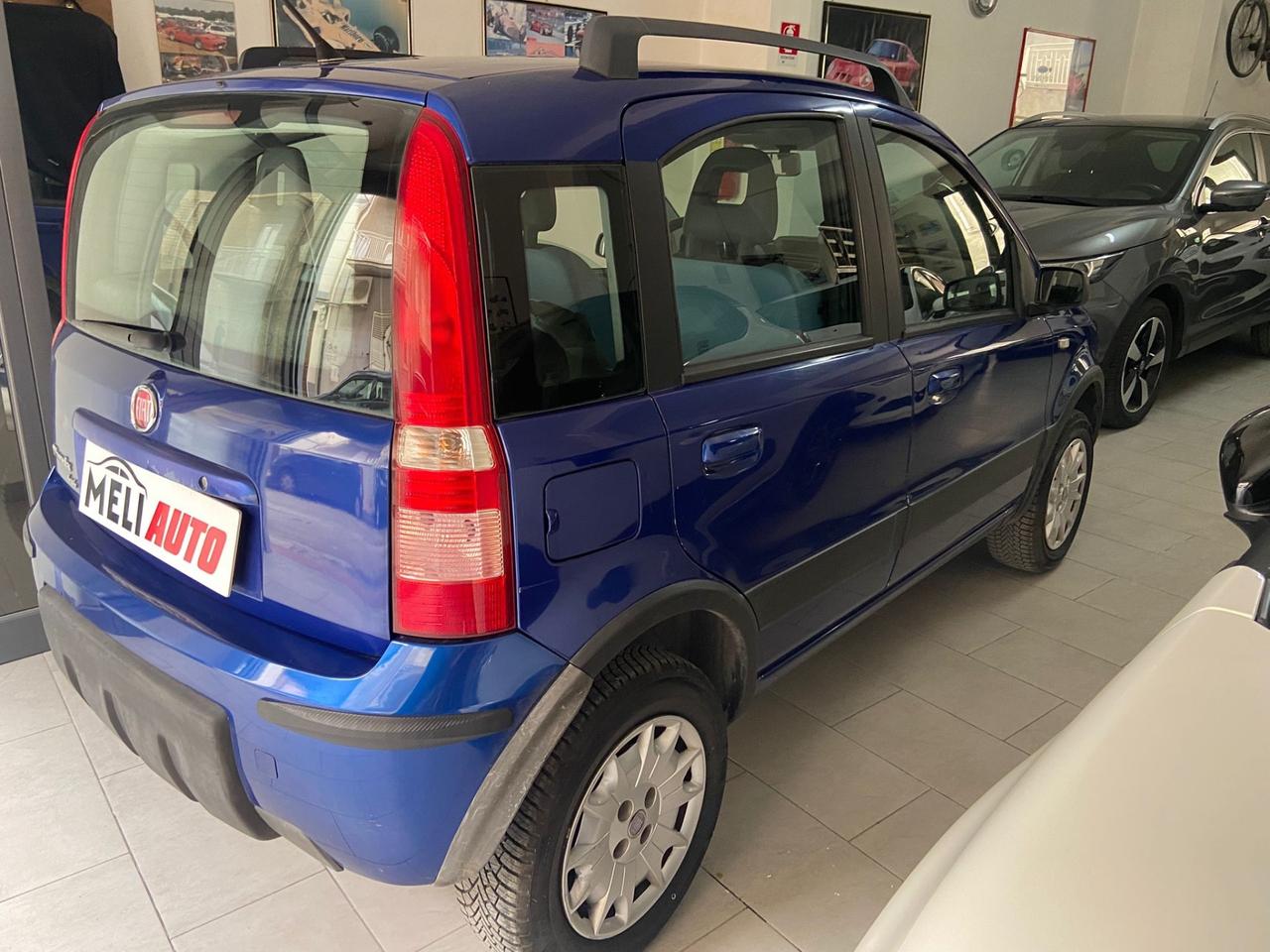 Fiat Panda 4x4 1.2 Benzina