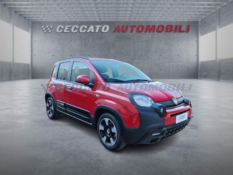 FIAT Panda Pandina 1.0 70 cv Hybrid