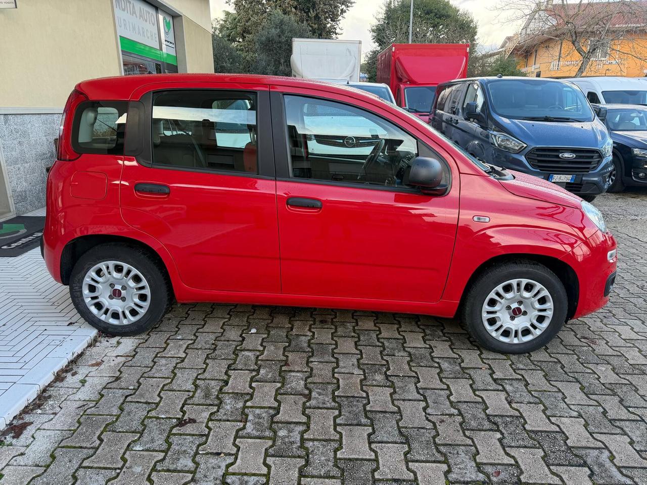 Fiat Panda 1.2 69 CV Easy