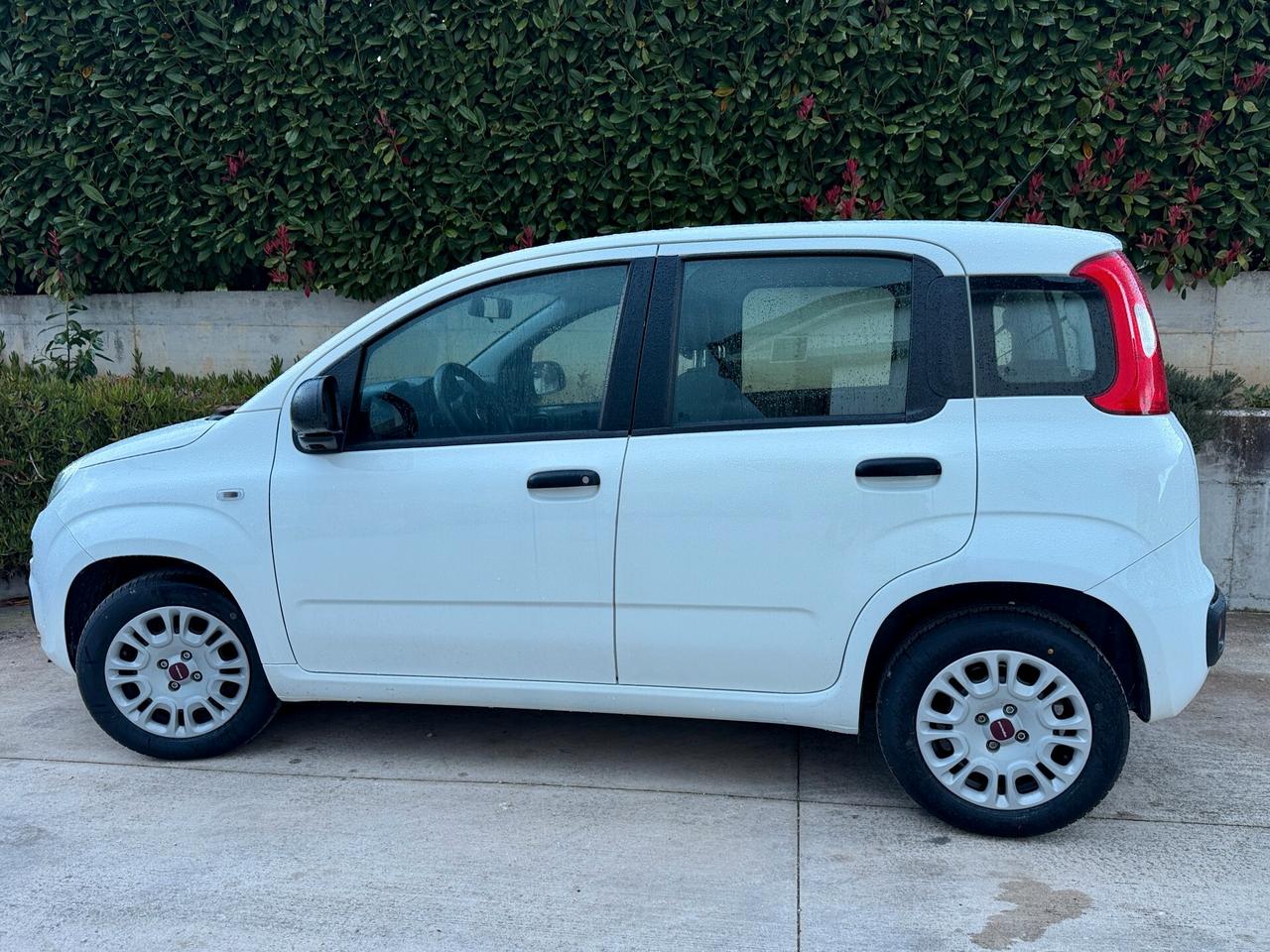 Fiat New Panda 1.2 cv 70 Lounge. Euro 6B