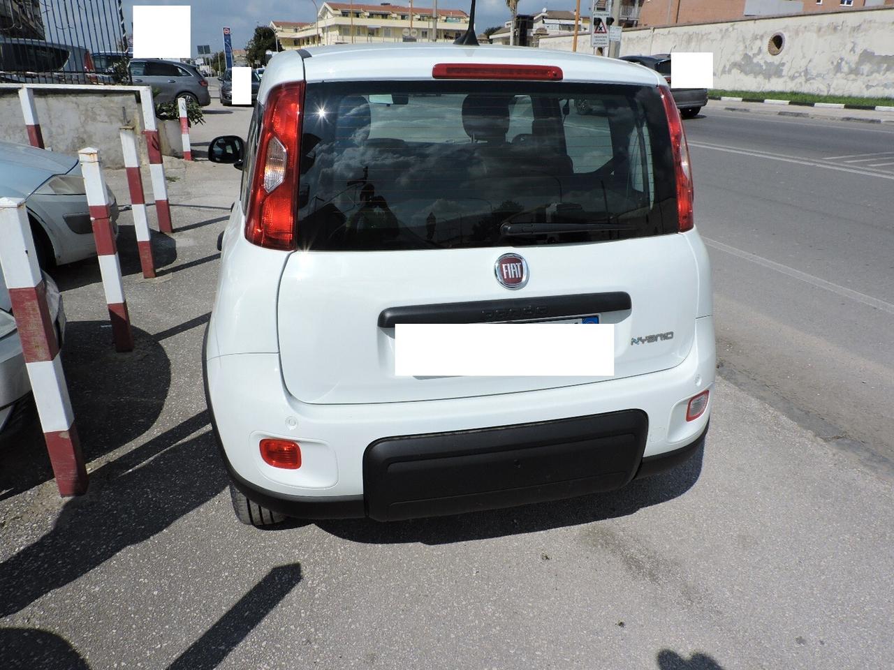 Fiat Panda 1.0 ibrida solo noleggio