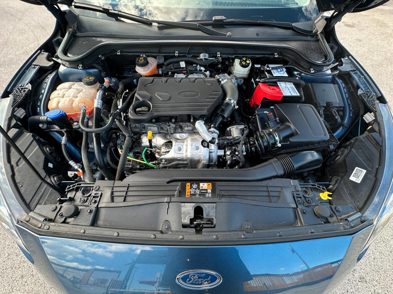 FORD Focus 1.5 EcoBlue 95 CV 5 porte Business
