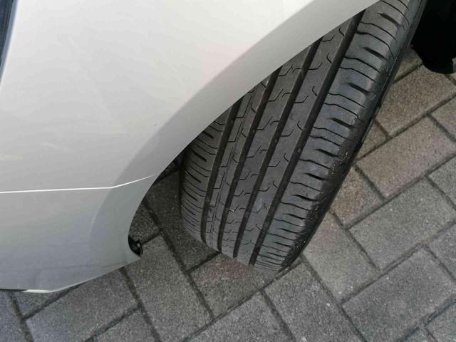 FORD Focus 1.5 EcoBlue 120 CV SW Business