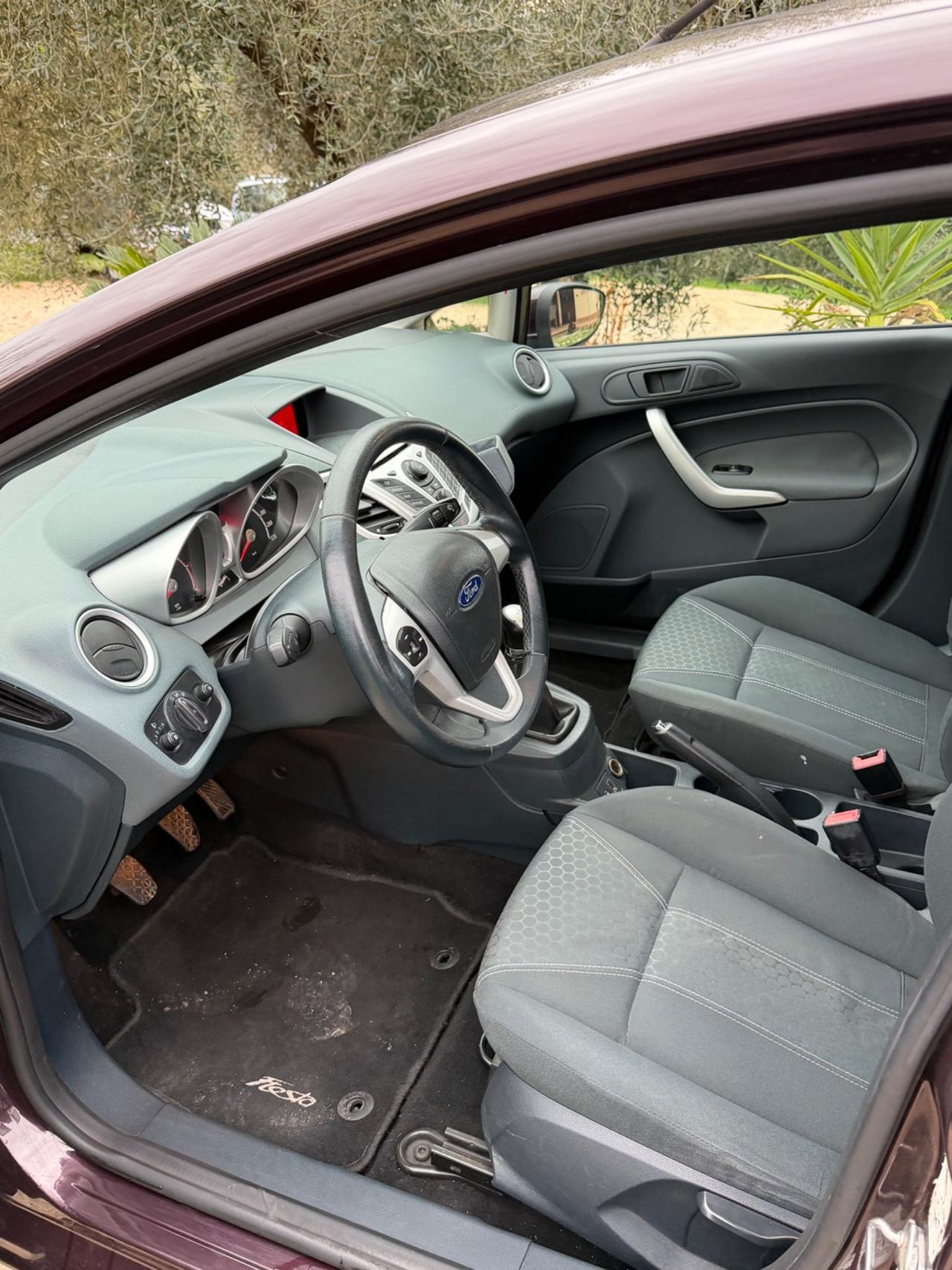 Ford Fiesta 1.4 TDCi 5p. Titanium