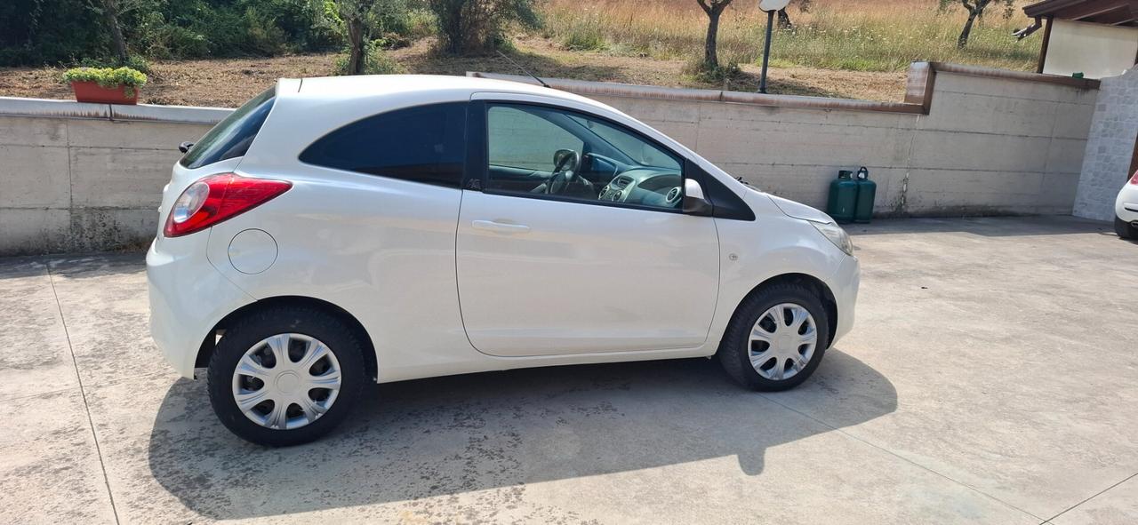 Ford Ka Ka+ 1.2 8V 69CV