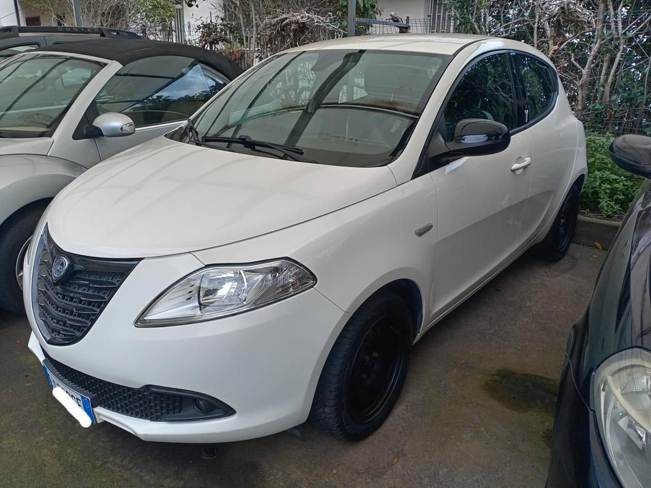 Lancia Ypsilon 1.2 69 CV 5 porte S&S Platinum