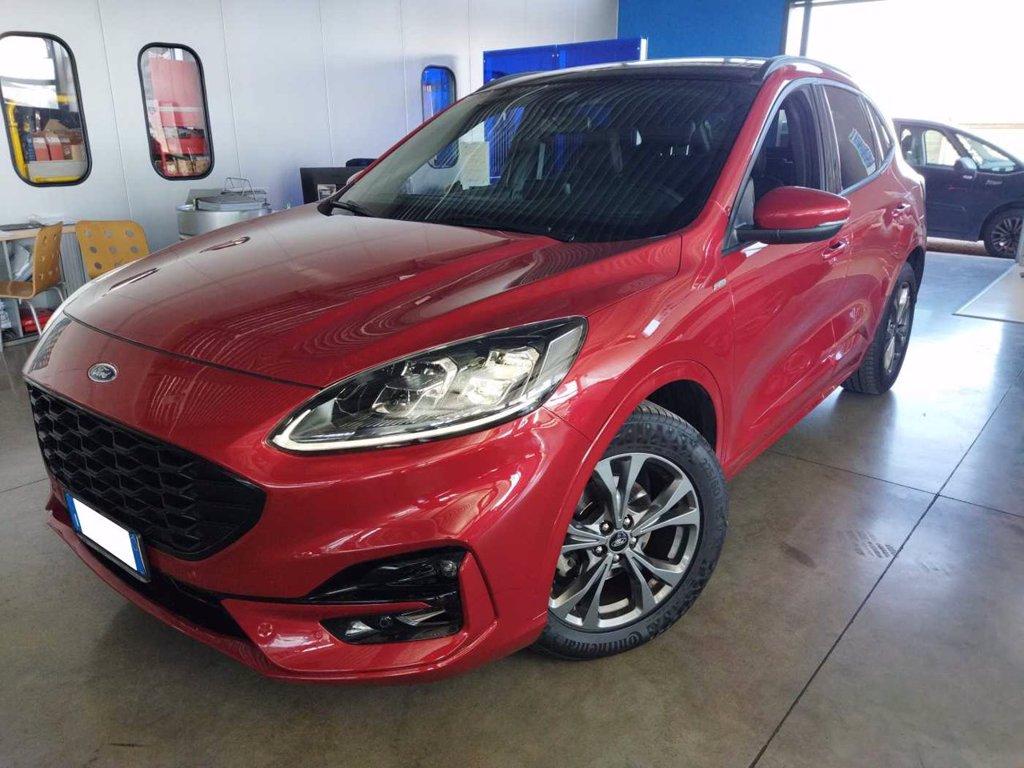 FORD Kuga 2.0 EcoBlue Hybrid 150 CV 2WD ST-Line X del 2020
