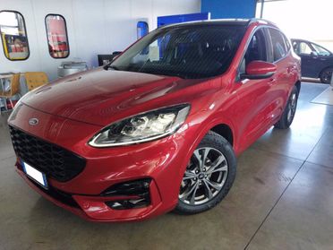 FORD Kuga 2.0 EcoBlue Hybrid 150 CV 2WD ST-Line X del 2020
