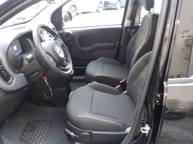 FIAT Panda MY25 - 1.0 FireFly Hybrid ICON