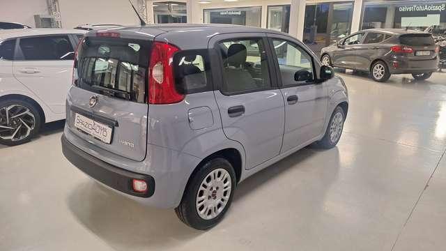Fiat Panda Panda 1.2 Easy s