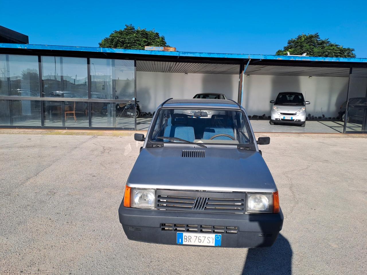 Fiat Panda 1100 i.e. cat Young