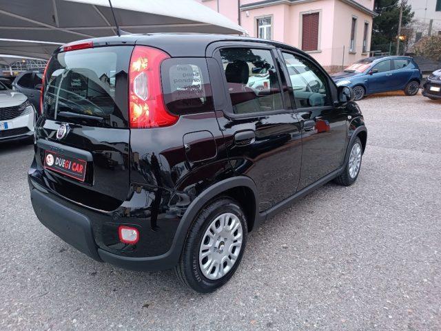 FIAT Panda 1.0 FireFly S&S Hybrid Pandina