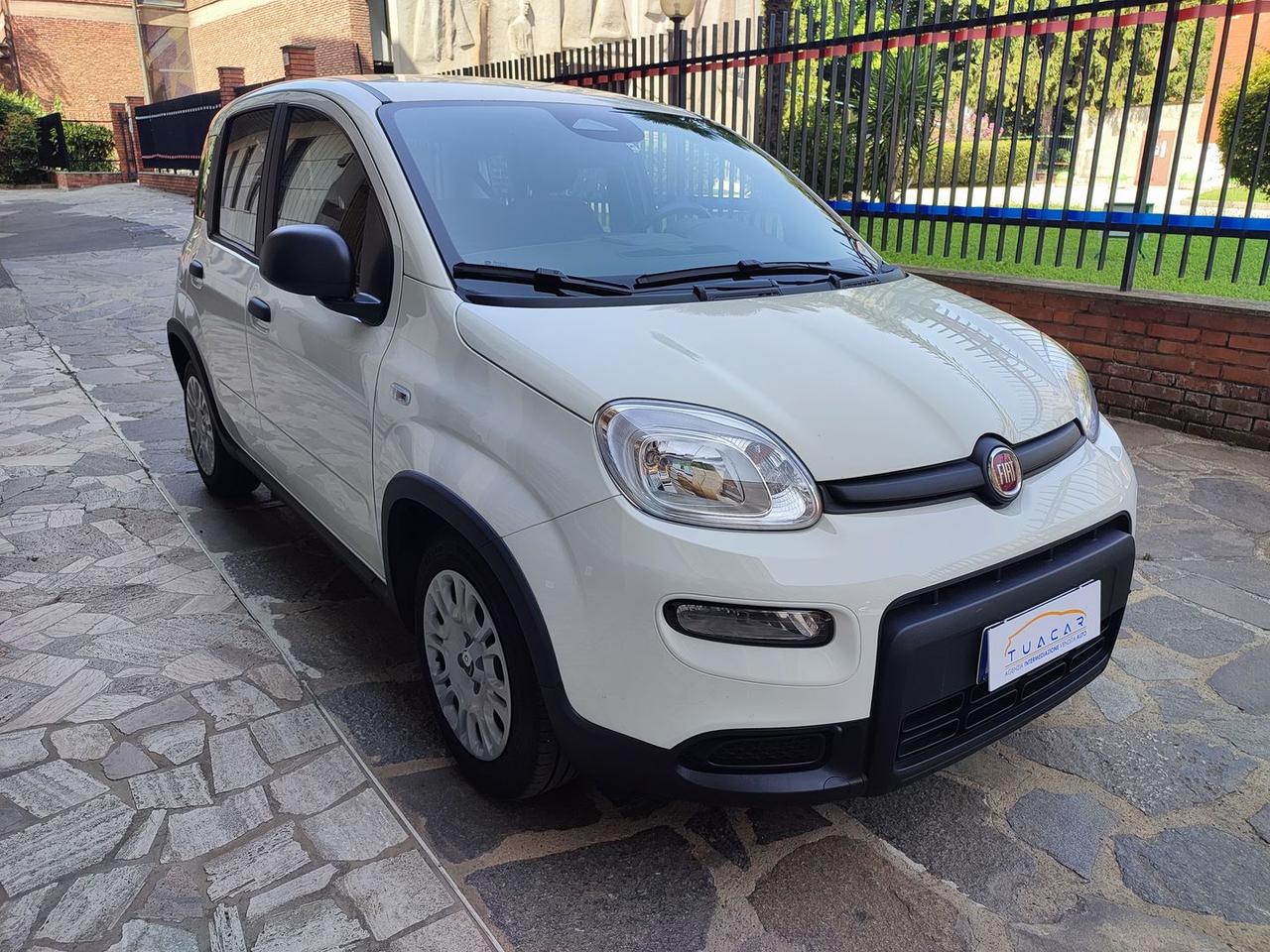 Fiat Panda Pandina 1.0 GSE Hybrid s&s 70cv #11995