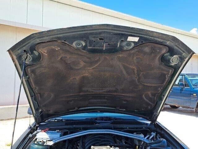 Ford Mustang GT 4.6 V8 BULLITT LIMITED EDITION N°648