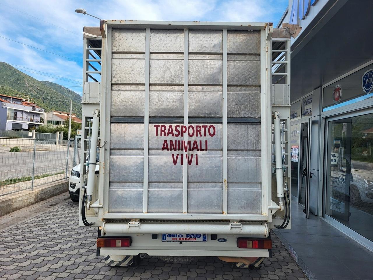 Ford Transit 2.5 diesel TRASPORTO ANIMALI VIVI - BESTIAME UNICO PROPRIETARIO