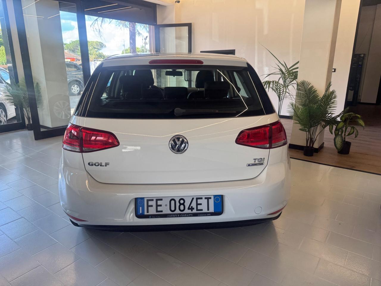 Volkswagen Golf 1.4 TGI 5p. Trendline BlueMotion