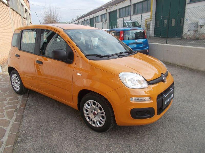 FIAT Panda 1.0 FireFly 70cv S&S Hybrid 338.7575187 MARCO MASSARI
