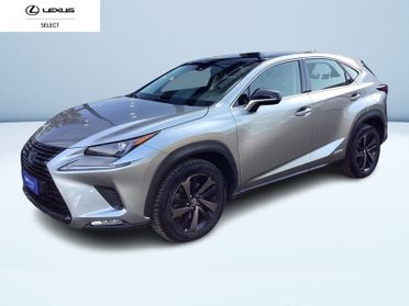 Lexus NX 300H 2.5 F SPORT 4WD CVT
