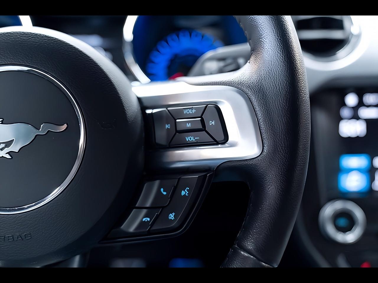 MUSTANG 320 CV PERFETTA