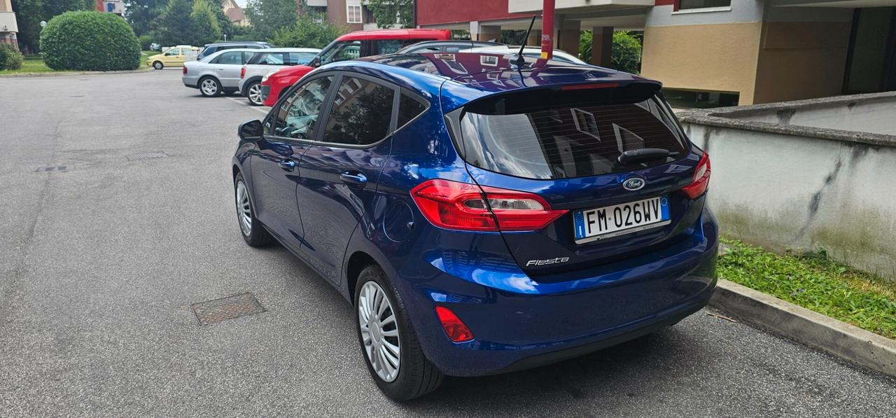 Ford Fiesta Plus 83cv 1.5 tdci 5porte