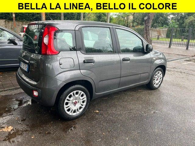 FIAT Panda 1.2 5 Porte Euro6