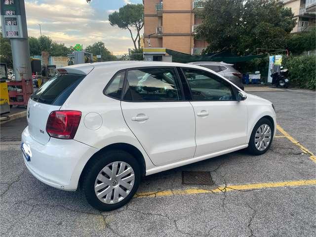 Volkswagen Polo Polo 5p 1.2 tdi United