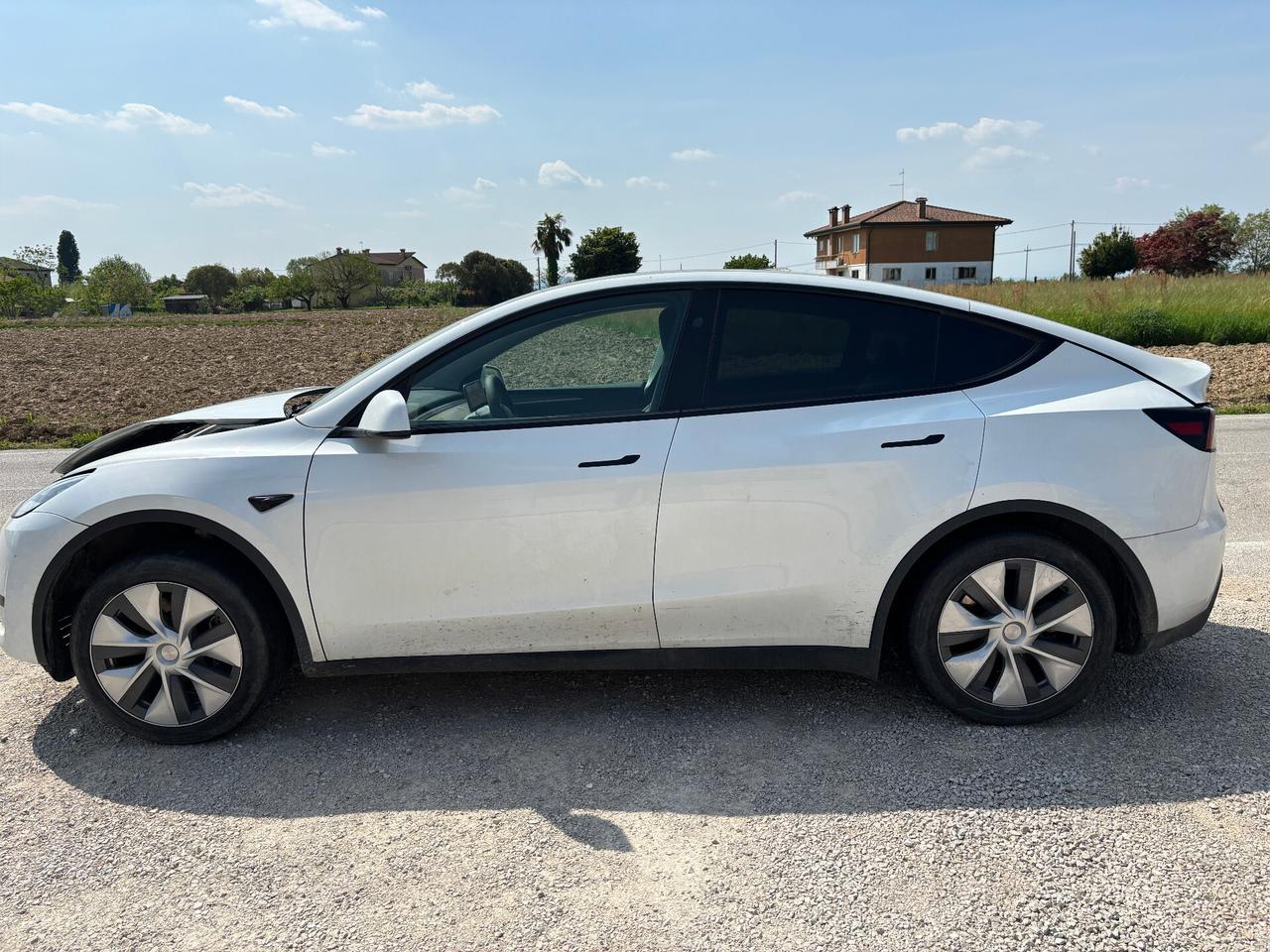 Tesla Model Y RWD