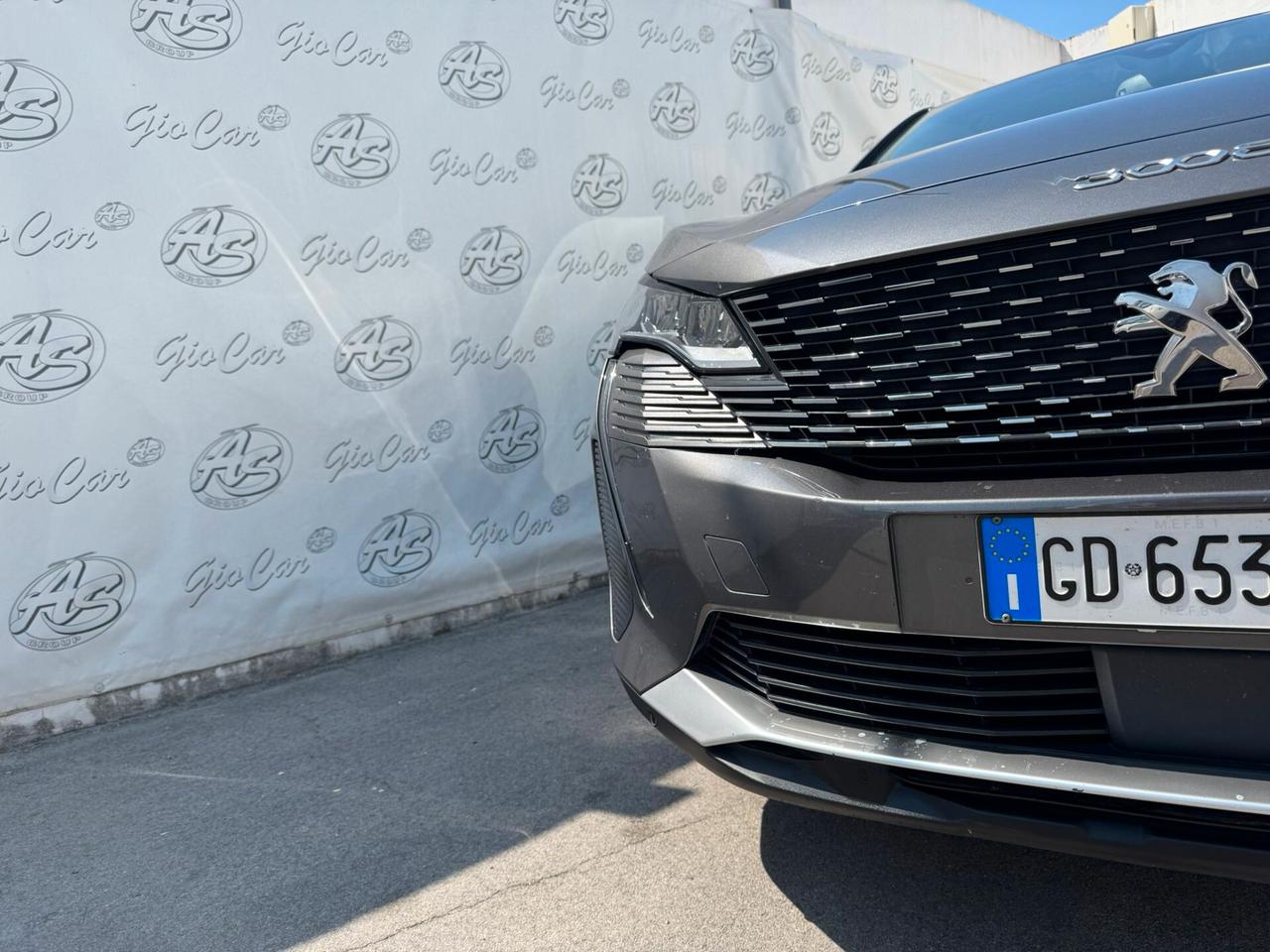 Peugeot 3008 BlueHDi 130cv S&S EAT8 Business Autom.Navi Camera
