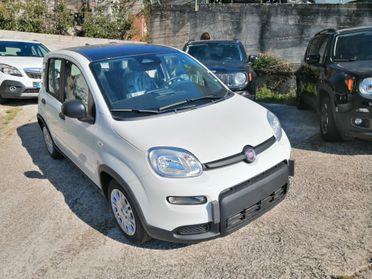 Fiat Panda 1.0 FireFly S&S Hybrid VENDUTA