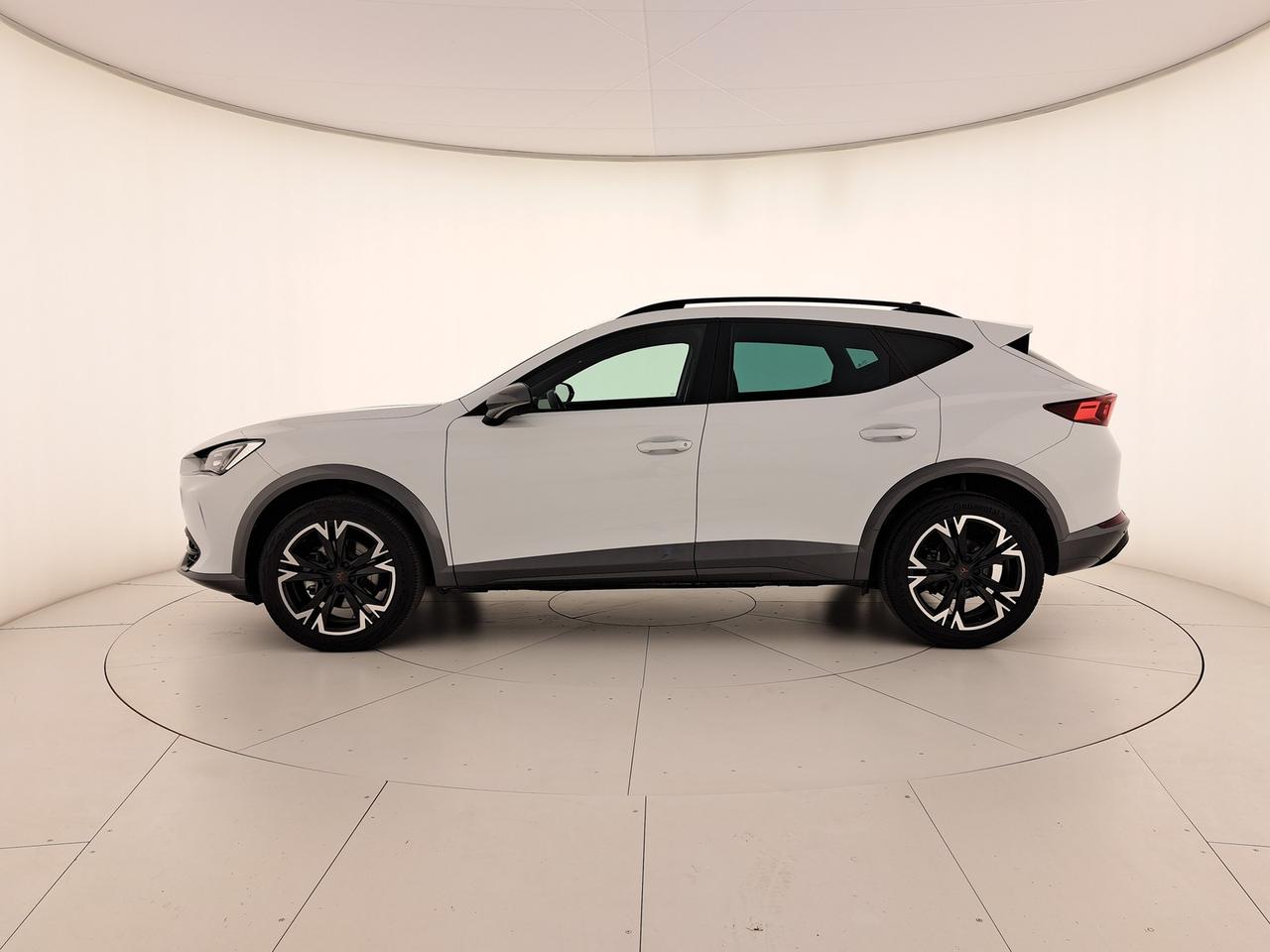 Cupra Formentor 2.0 tdi 4drive 150cv dsg