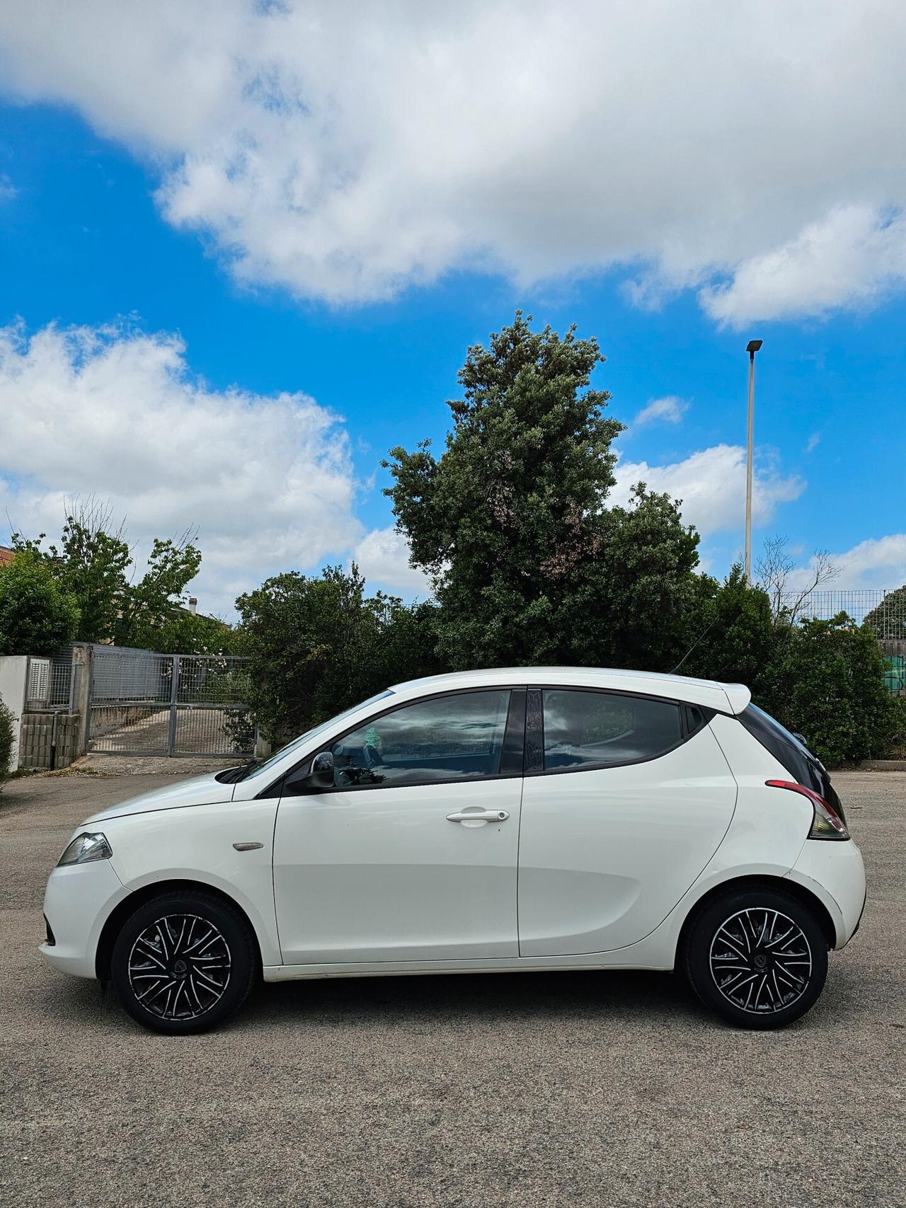 Lancia Ypsilon 1.2 69 CV 5 porte Elefantino Rosa