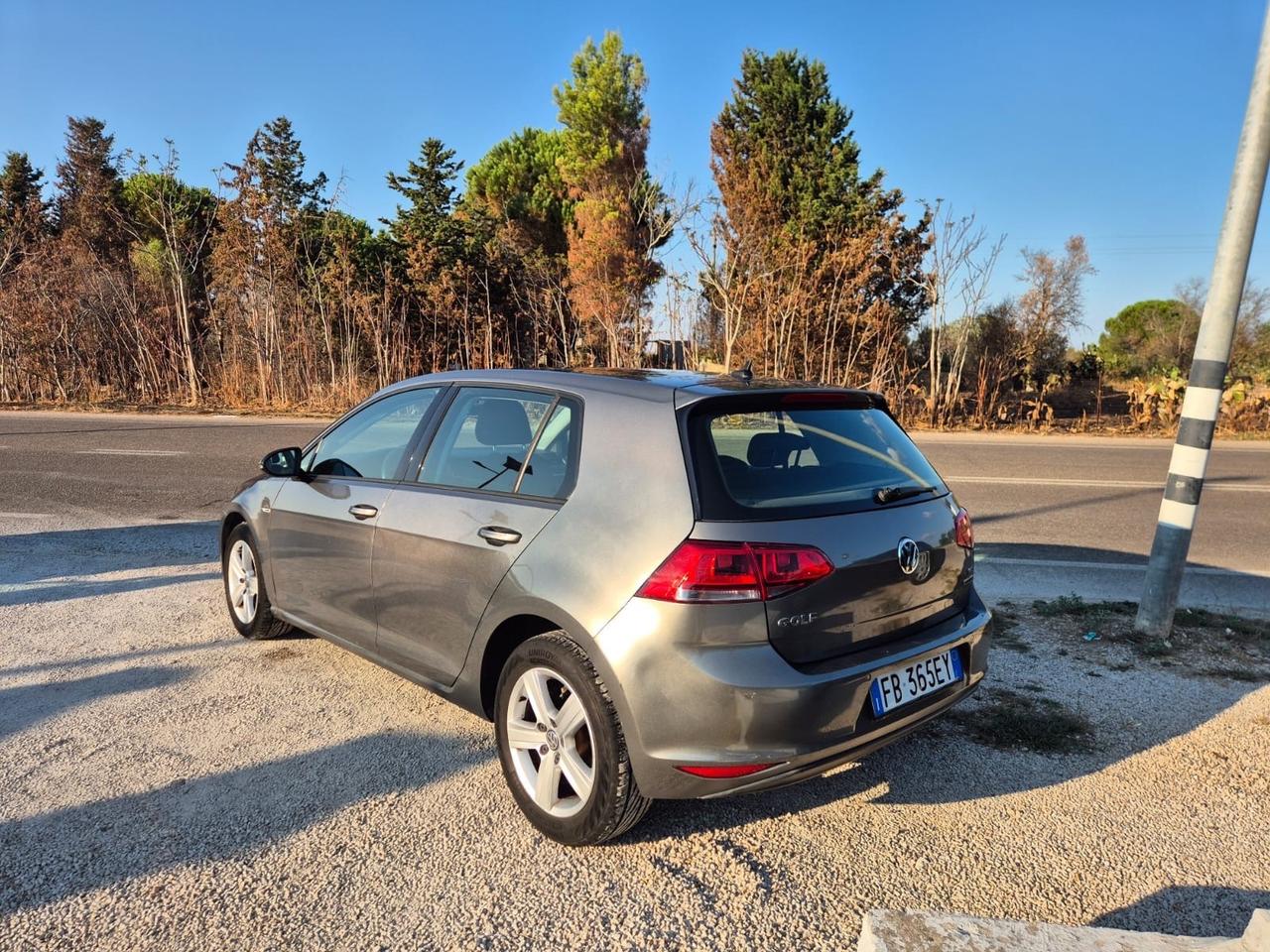 Volkswagen Gol 1.4 TGI Executive BlueMotion