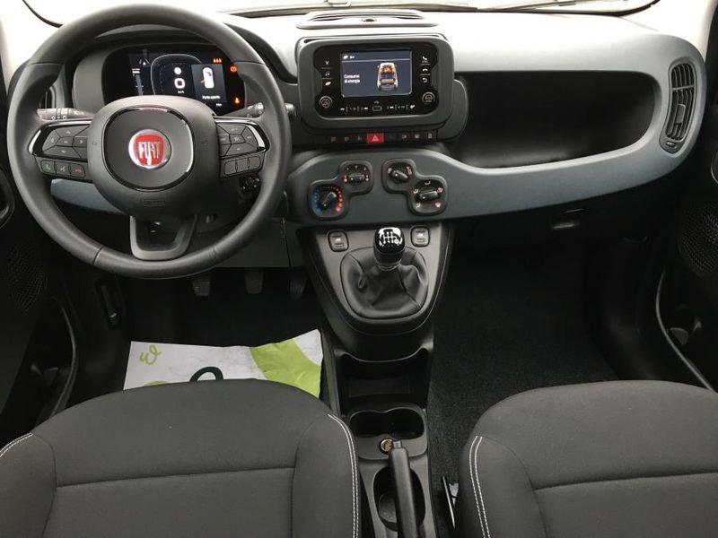 FIAT Panda 1.0 FireFly Hybrid Icon NUOVO MODELLO / PRONTA CONSEGNA