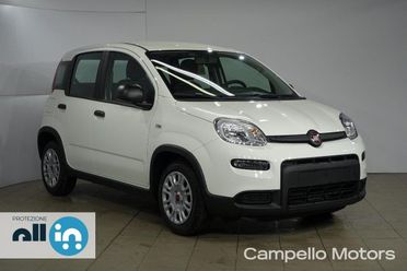 FIAT Panda Panda 1.0 70cv Hybrid Panda My23