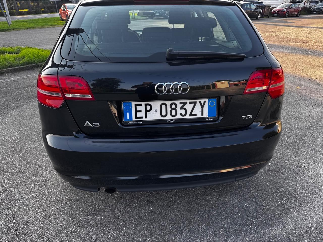 Audi A3 1.6 TDI 105 CV CR Ambition neopatentati