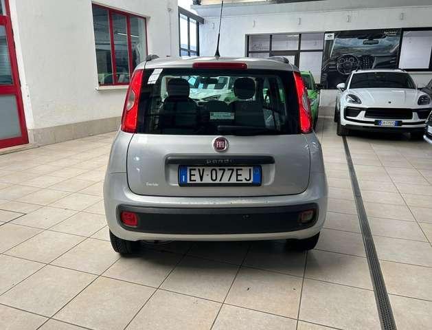 Fiat Panda Panda 1.2 69cv NEOPATENTATI - EURO 6 - CINGHIA OK