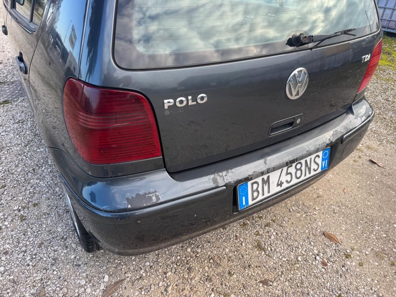 Volkswagen Polo 1.4 TDI cat 5 porte Comfortline